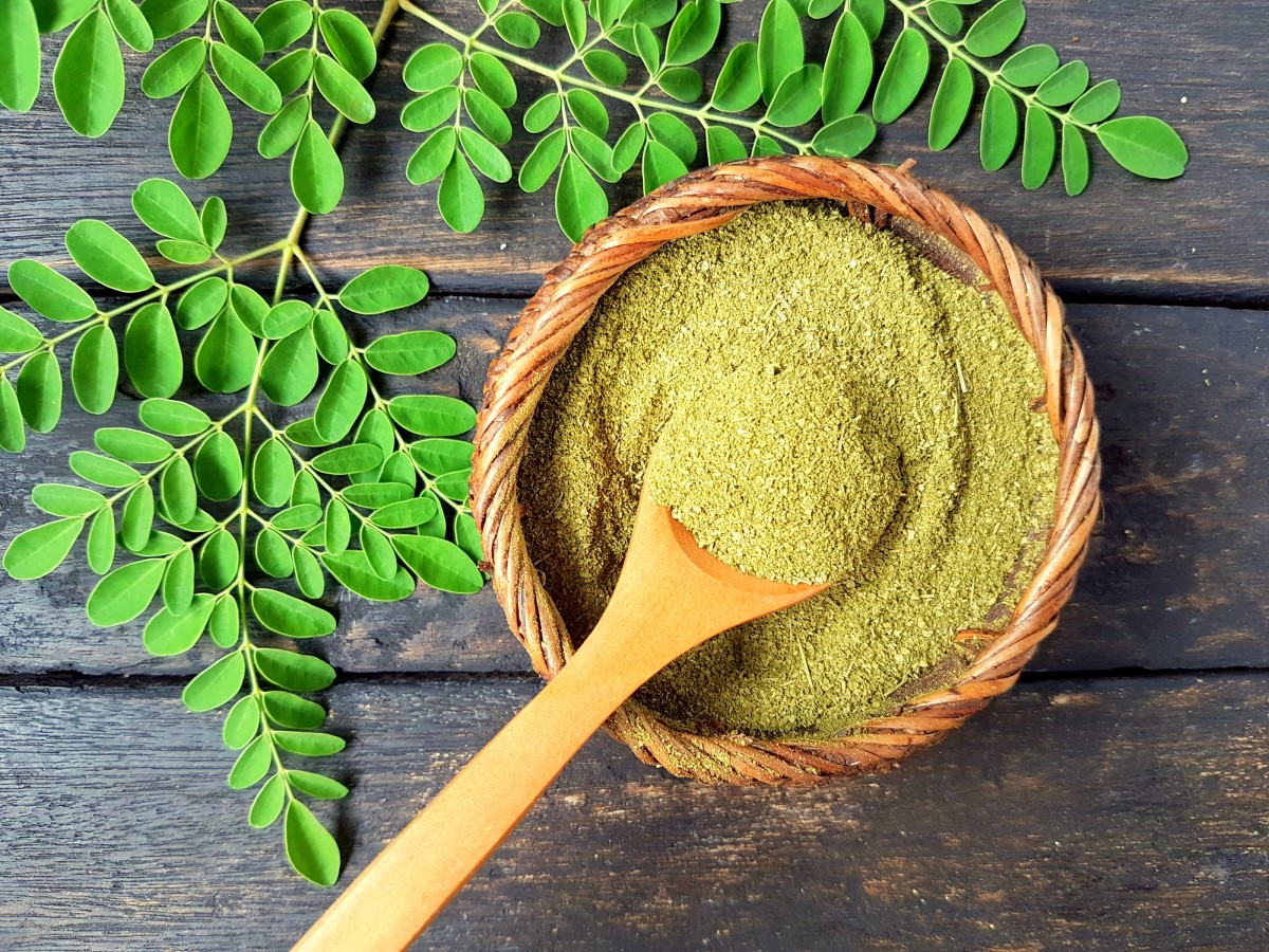 Bir kase kaynar suda öğütülmüş moringa, ağaç yaprakları