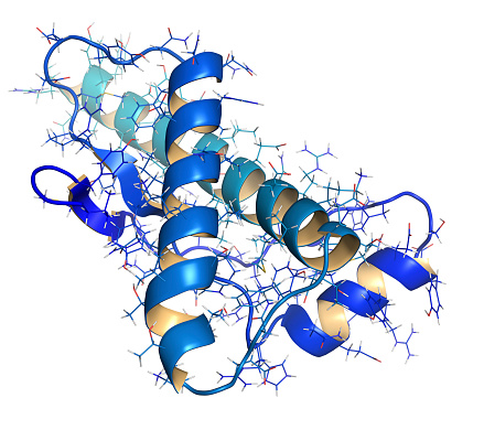 prion proteininin mikroskobik yapısı