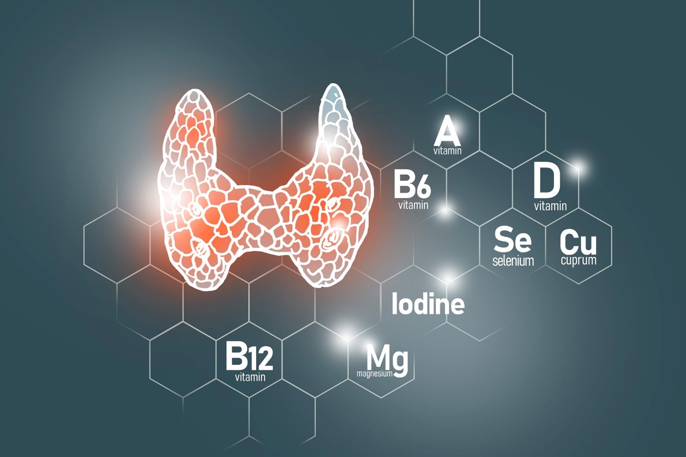 Düzgün tiroid fonksiyonu için önemli bir element olarak selenyum