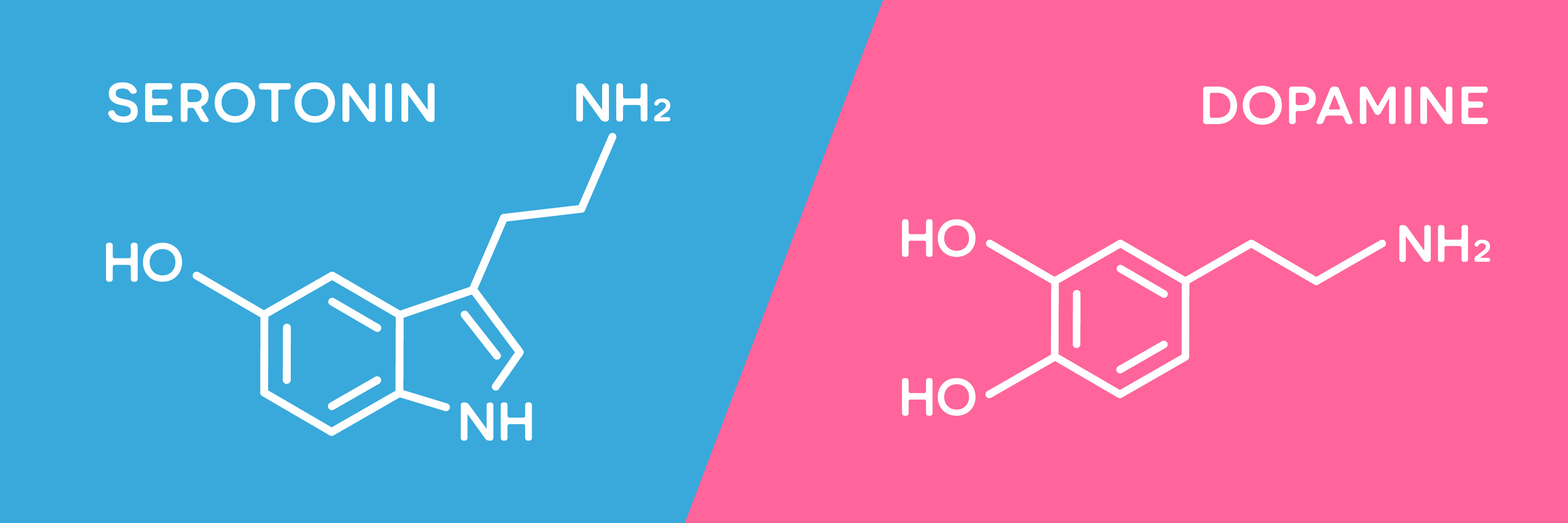 Serotonin veya dopamin seviyelerindeki dengesizlik anksiyete bozukluklarına yol açabilir. 