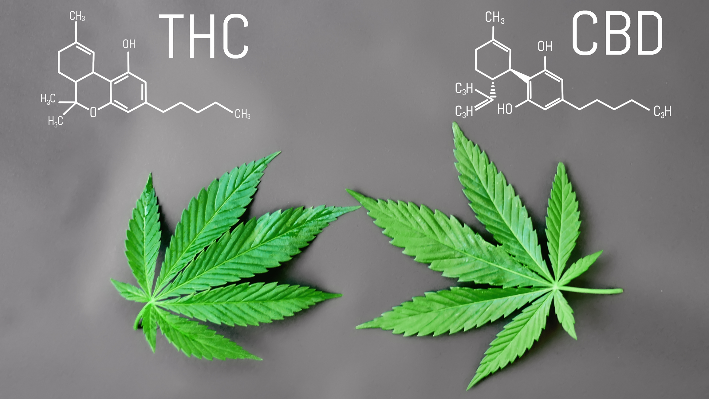 THC ve CBD molekülü