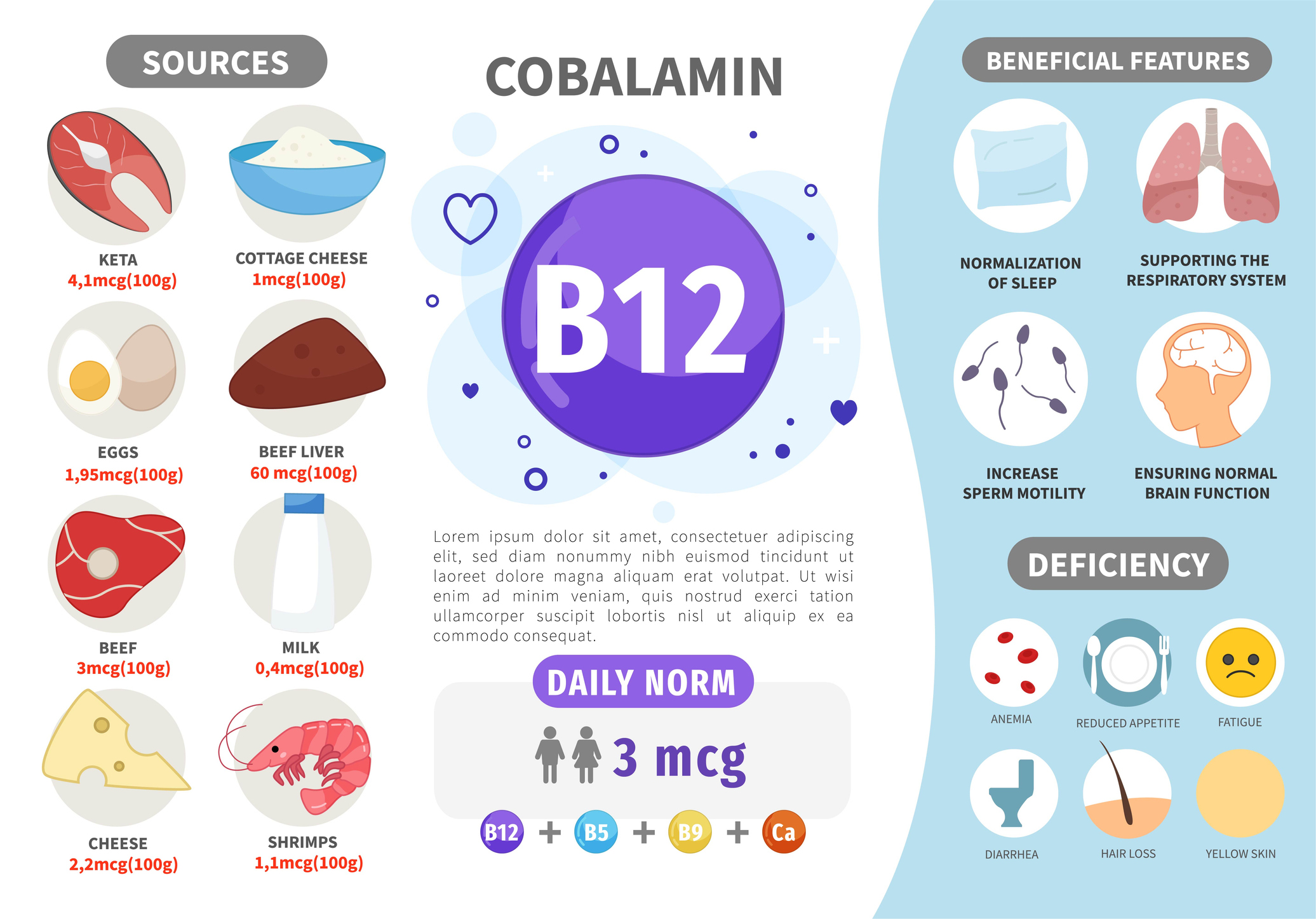 B12 vitamini kaynakları