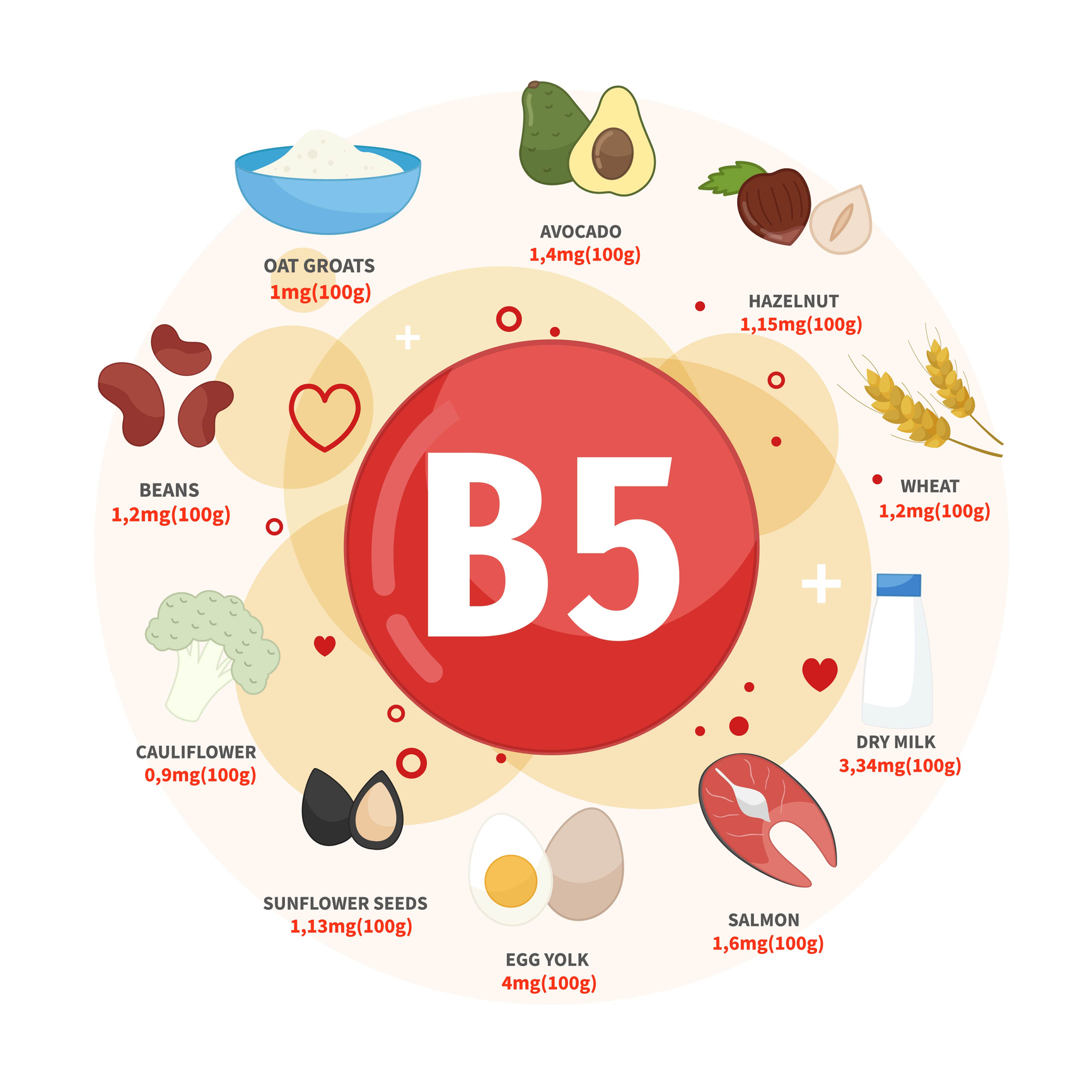 En iyi B5 vitamini kaynakları arasında avokado, fındık, buğday, süt, somon, yumurta, ayçiçeği tohumu, karnabahar, fasulye, yulaf ezmesi yer alır. 