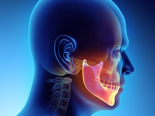 Temporomandibular eklemin başı ve görünümü