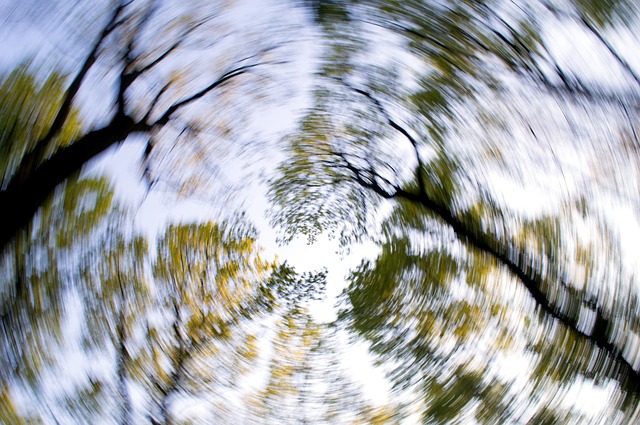 vertigo belirtisi olarak dairesel bulanık ağaçlar