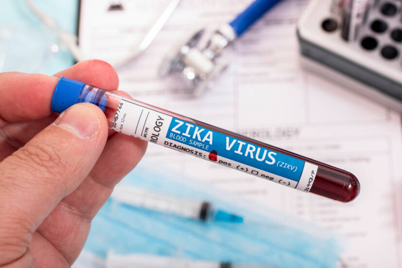 Zika virüsü: nedir, nasıl bulaşır ve belirtileri nelerdir?