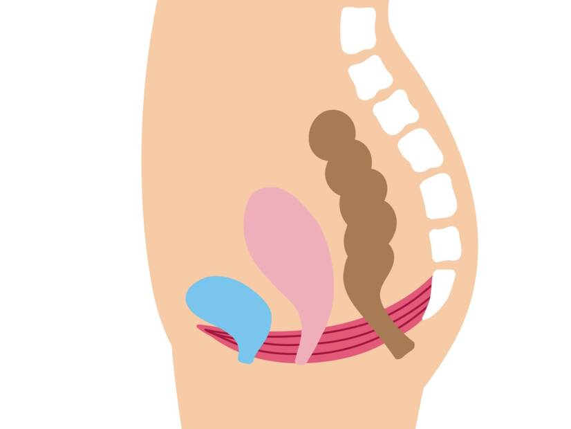 Pelvik taban: Kadınlarda işlevi ve önemi nedir + Güçlendirme ve rahatlama egzersizleri