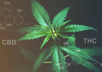 CBD ve THC: Etkileri ve kullanımları arasındaki farkı biliyor musunuz?